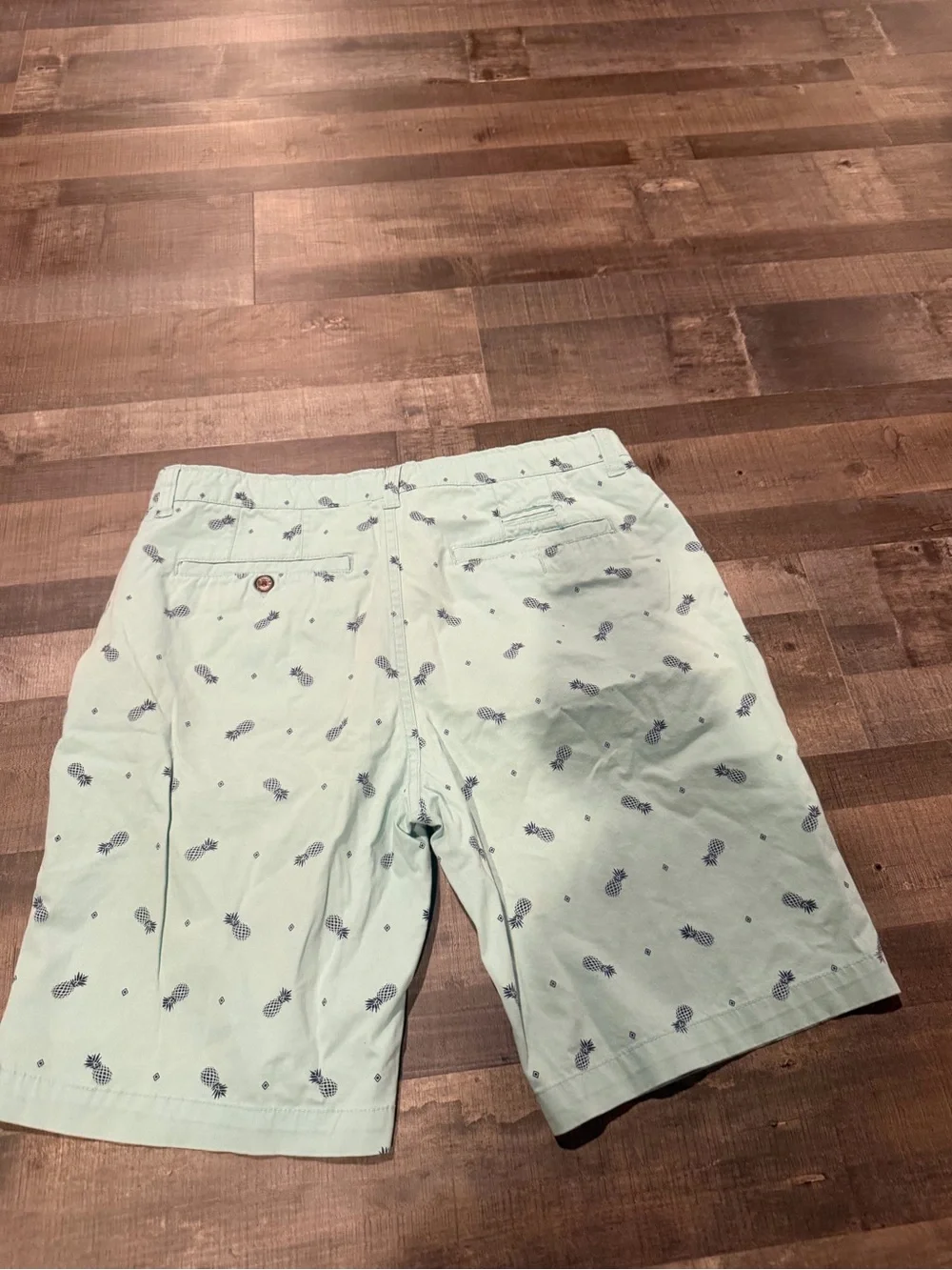 Hudson & Barrow Men’s Light Mint Pineapple Shorts